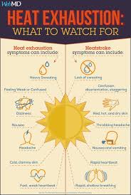 Heat safety precautions for people and pets during excessive heat warning. Summer Safety Do You Know The Difference Between Heat Exhaustion And Heatstroke Warning Signs To Watch For Summer Safety Heat Exhaustion Summer Safety Tips