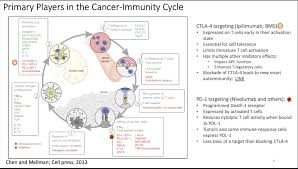 Image result for Immune Checkpoint Inhibitor