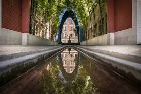 Image result for le medi rotterdam