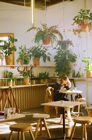 Untitled Cafe Plants Plant Decor Plants