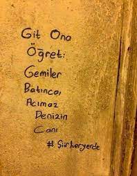 git ona ogret gemiler batinca acimaz denizin cani siir bff sozleri ilham verici sozler