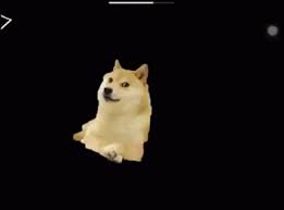 The text, representing a kind of internal monologue, is deliberately written in a form of broken english. Dog Doge Gif Dog Doge Meme Discover Share Gifs