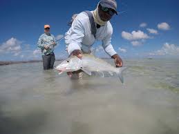 West end 2 / short beach. Bahamas Fishing Crooked Acklins Islands Fly Fishing Permit Triggerfish Bonefish