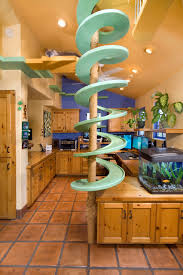 We did not find results for: A Home Becomes A Playland For 20 Rescued Cats