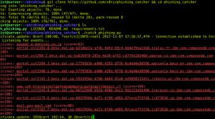 Phishing Catcher Is Python Scripting For Catching Malicious Phishing Domain Names Using Certstream Https Certstrea Computer Security Ssl Certificate Security