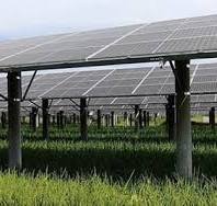 ‫الصين Agrivoltaics مزرعة الطاقة الشمسية مصنعي الموردين مصنع ...‬‎