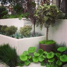 Pin By Maura Tierney Tierney Real Es On Smooth Stucco Garden In The Woods Back Garden Design Garden Design