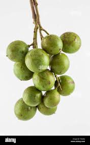 Image result for Melicoccus