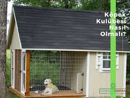 Kopek Kulubesi Icine Ne Konur Gunsoy Orman Urunleri