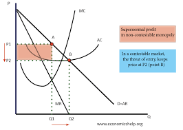 Contestable Markets Economics Help