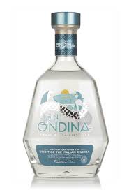 Image result for Oedina