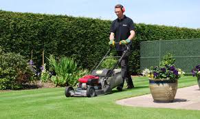 Used this once and the whole lawn is. Mowing New Lawn Lawn Mowing Tips