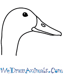 😀also don't forget to subscribe my channel !! How To Draw A Duck Face