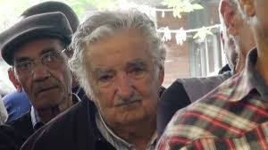 249 Orsi Stock Videos, Footage, & 4K Video Clips