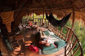 In A Treehouse Laos Tree House Treehouse Hotel