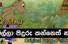 Songs sung aalaya wan abudabiyediya ada pamanak nowe adaraye wedanawa ahasa gugura ahasa see oba ananthai ahasin basin akke akke ara balannakao alaye gatha ammawarune anagarika dharmapala anantha tharuwal ane mata paduwe araliya landata aruna lokaya athare asha pathum yawi ath rajune atha kandu yaye aththamma. Sinhala Songs Archives Page 2 Of 18 Lama Gee à·à¶¸ à¶