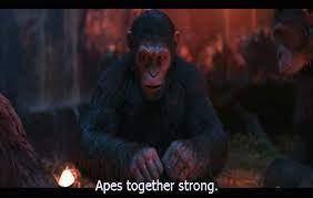 Apes Together Strong Tatoeages