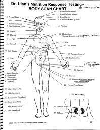 Image Result For Muscle Testing Points Chart Body Map