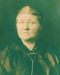 Sarah Elizabeth Vandiver Fox (1855-1924)