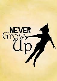 Never Grow Up Peter Pan Disney Peter Pan Peter Pan And Tinkerbell