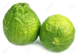 The surf forecast for lebu over the next 7 days: Bangladeshi Lemon Named As Ada Lebu For Making Curry Stock Photo Picture And Royalty Free Image Image 19373833