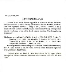 Image result for Nothosaerva brachiata