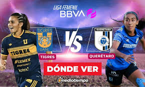 Tigres vs. Querétaro: ¿A qué hora y dónde ver EN VIVO partido Liga Femenil Apertura 2026?