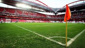 It happens on a large scale and is mostly seen oil spills can prove fatal for plants, animals and human life. Oil Spills On Sports Grounds Turfmate