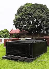 We are also accredited in manila memorial dasma, manila memorial sucat, manila memorial bulacan and holy cross qc. 8 Lots Manila Memorial Park Lot Only For Sale Located Sucat Paranaque Lot April 2021 In Paranaque Metro Manila For Sale