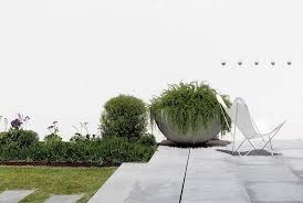 Our gardens are inspired by nature with an artists eye for color, texture and composition. Dot Pop