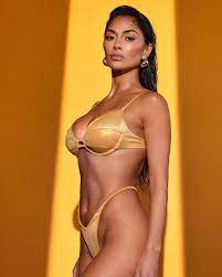 Nicole Scherzinger, 43, shows off her stunning bronzed body in gold bikini  | The US Sun