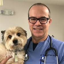 Meet Dr. Chris Ray, Hermitage Vet