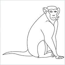 Check spelling or type a new query. How To Draw Wild Animals Drawings Easydrawings Net