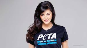 39 minutes ago 'crescent moon not sighted': Sunny Leone S Birthday Plans Revealed Fabnewz