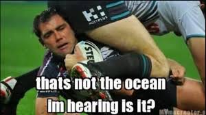 Palmarès tenant du titre melbourne storm plus titré(s) sydney roosters (4 titres nrl) melbourne storm (4 titres nrl) south sydney rabbitohs (21 titres de premier niveau australien) meilleur(s) marqueur(s) ken irvine (212 essais) meilleur(s) réalisateur(s) cameron smith (2708 points) plus d'apparitions cameron smith (423 matchs) pour la compétition en cours voir: Nrl Memes Youtube