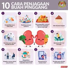 Hati2, pesakit buah pinggang sangat sensitif dengan virus. Kkmalaysia On Twitter Punca Utama Kegagalan Buah Pinggang Di Malaysia Ialah Penyakit Diabetes 55 Pesakit Buah Pinggang Adalah Lelaki Dan Majoriti Pesakit Berumur 55 Tahun Ke Atas Penjagaan Buah