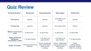 Warm Up Carbohydrate Graphic Organizer Biomolecules Chart