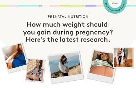 Image result for First Trimester Education