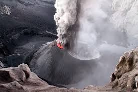 Flor por ley provincial n.º 2465, del 24 de agosto de 2004 se declaró a la mutisia (mutisia decurrens) como flor de la provincia del neuquén. Volcan Copahue En 13 Imagenes Comentadas Mas Neuquen