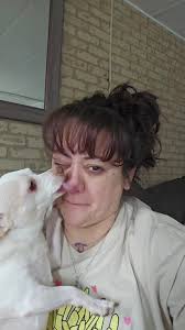 Man Losing His Nose Because of A Dog Licking