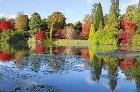 Five gardens by Capability Brown