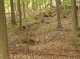 in franklin borough, the ground is