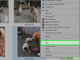 Apabila hanya berisi teks saja, biasanya hanya berukuran beberapa kb saja. How To Resize An Image In Microsoft Paint With Pictures
