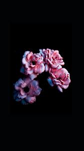 Hd wallpaper iphone wallpaper cute find your perfect wallpaper and download the image or photo for free. Oled Wallpapers Free Hd Download 500 Hq Unsplash