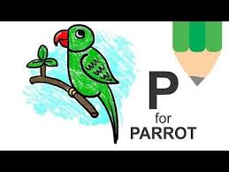 How To Draw Parrot From Alphabet P Parrot Drawing Easy Drawings Easy Drawings For Kids