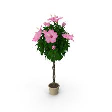 We did not find results for: Desk Plant Png Images Psds For Download Pixelsquid