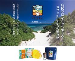 「宮古島　地下水」の画像検索結果
