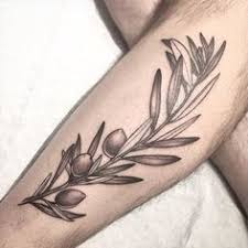 Check spelling or type a new query. 43 Best Olive Tree Tattoos Ideas Olive Tree Tattoos Tattoos Tattoo Designs Men
