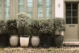 Top sellers most popular price low to high price high to low top rated products. 40 Large Planters For Trees And Flowers Insteading