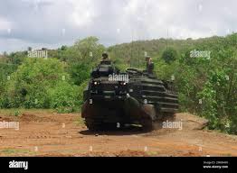 Image result for Gold 1998 AAV